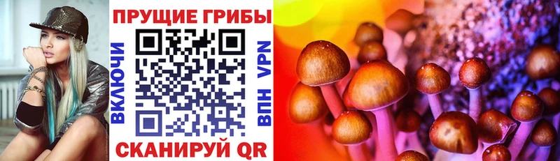 hydra маркетплейс  Сорск  Галлюциногенные грибы GOLDEN TEACHER 